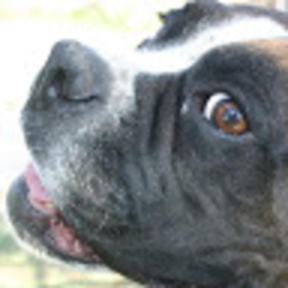 Meet your Posher, Jeanie